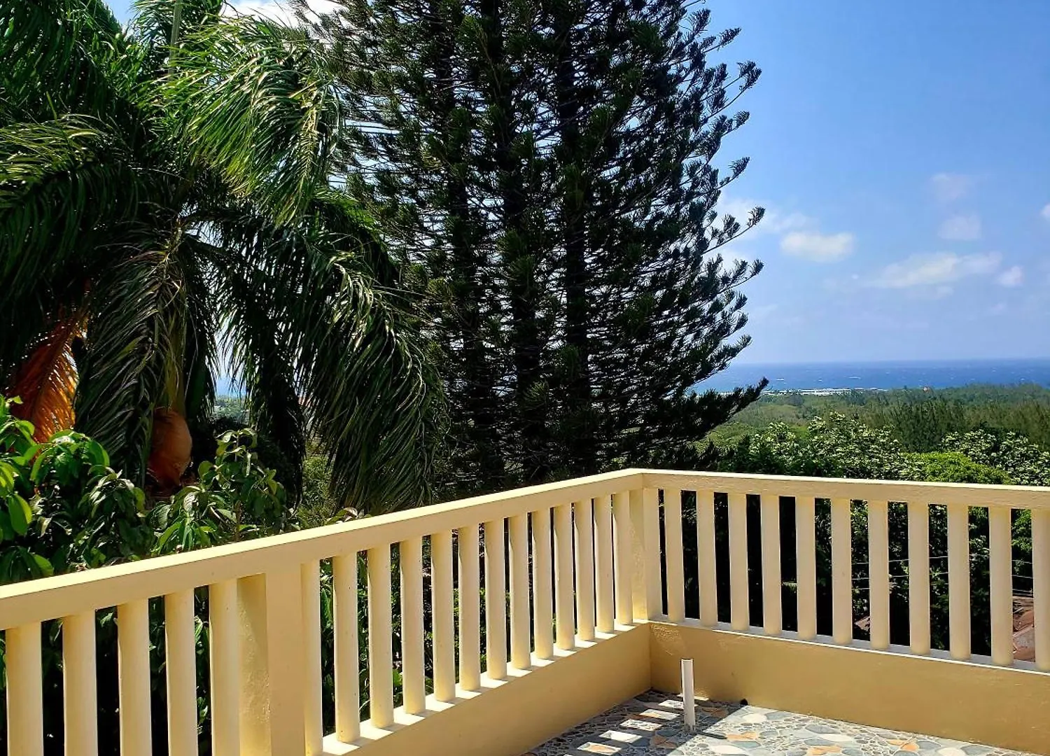 Comfy Apartments Montego Bay Guest house