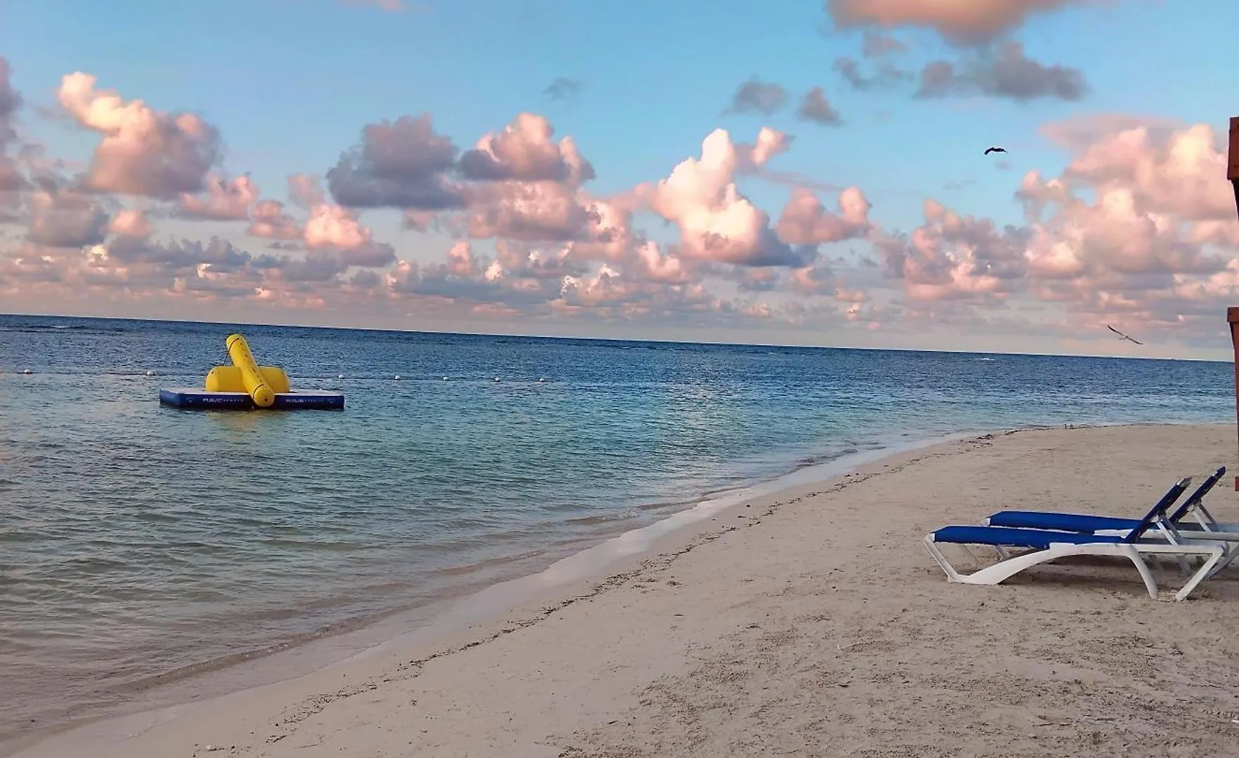 Guest house Comfy Apartments Montego Bay